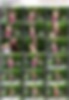 85460306_[14y]_rosmeri___karatekid1.wm.jpg